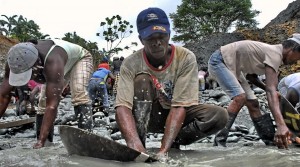 Cases of malaria on the rise in Colombia’s mining regions, study shows