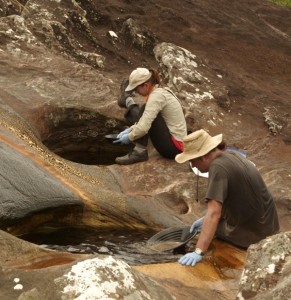 These bacteria can help you find rich platinum deposits