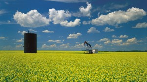 Here’s where mining investors should be placing their bets on