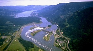 Teck shares slide after contaminated water spilled at Canada plant