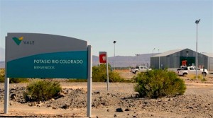 Vale gives its $11bn potash project in Argentina a second chance