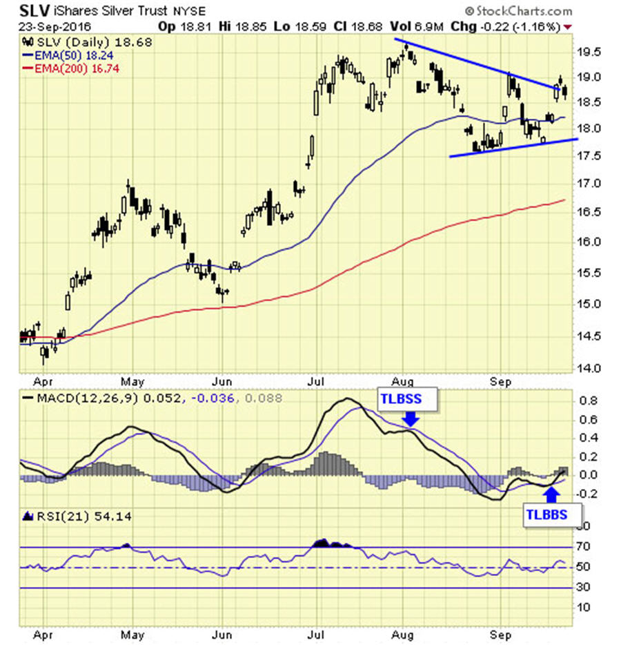 Ishares Silver Trust Chart