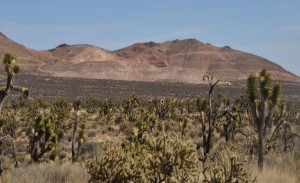 Discovery pushes Newcastle Gold's 2016 gains to 300%