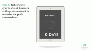 Here’s how lab created diamonds are made