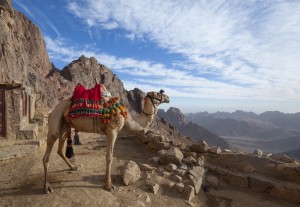 Egypt opens gold assets to foreign companies, first time since 2009