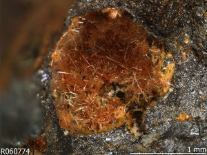 Human activity created 208 new mineral species - Nealite
