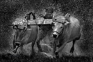 CHARTS: Big mining's surge in value one for the ages