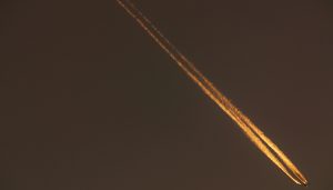 Muppet drops gold price to 6-week low