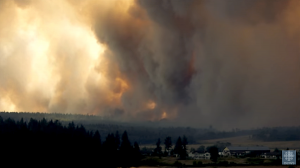 'Out of control' Canada’s wildfires close to Kinder Morgan’s pipeline