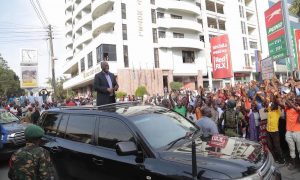 Tanzania suspends granting of new mining licences