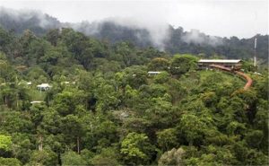 First Quantum boosts Minera Panama stake at 90%