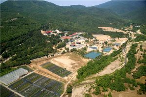 Eldorado Gold sees output jump by 40% in first quarter