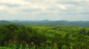 Roscan drills 46.5 metres of 6.15 g/t gold, expands target in Mali