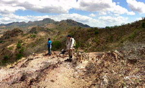 Barrick grabs stake in Royal Road Minerals in $1.3 million deal