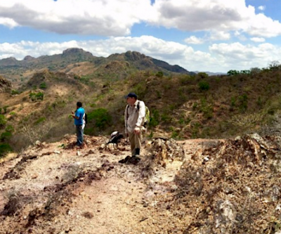 Barrick grabs stake in Royal Road Minerals in $1.3 million deal