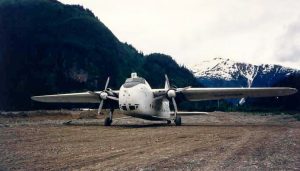 Skeena shares jump on BC Golden Triangle drilling