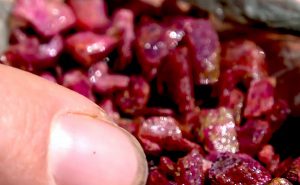 Fura Gems grabs more ruby assets in Mozambique