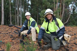 Alcoa powers up in Brazil as China aluminum powers down: Andy Home