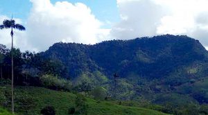 Anglo American becomes latest top miner to land in Ecuador