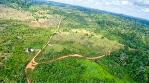 Belo Sun license should be reviewed by Brazil federal Gov’t, court rules