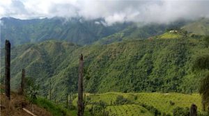 Newmont can’t get enough of Colombia, buys 19.9% of Orosur