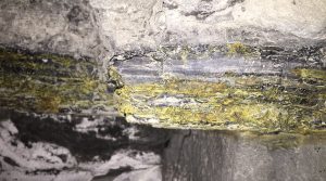 Western Uranium buys physical uranium
