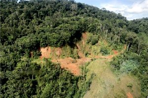 Barrick ups investment in Reunion Gold, hopes for big payoff in Guyana