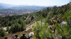 Almaden case headed to Mexico’s Supreme Court