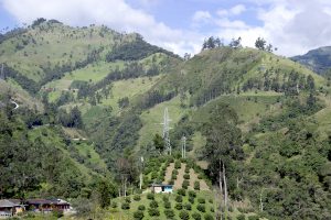 AngloGold sells Colombian exploration assets