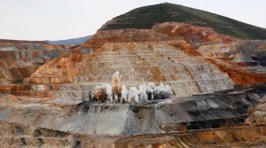 Barrick gives up plans to acquire Newmont, will form Nevada JV instead