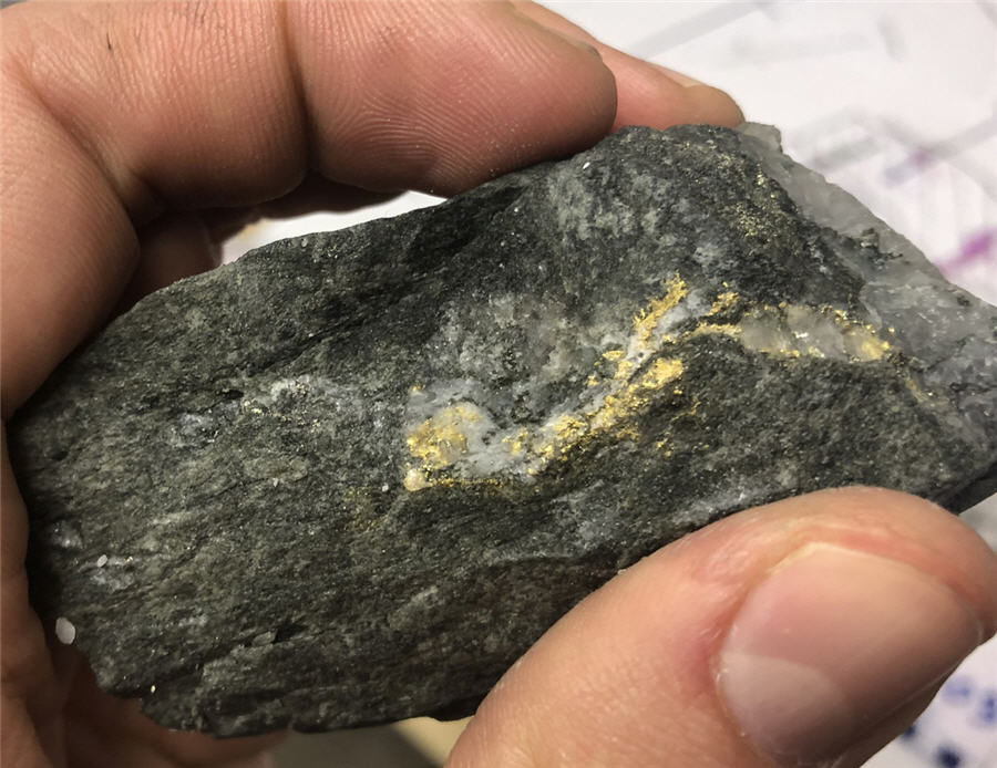 Wallbridge Expands Fenelon Gold System in Multiple