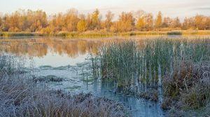 Dam collapse kills at least 15 gold miners in Siberia