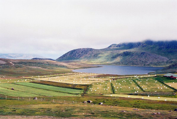 EU to offer US critical minerals partnership to check China