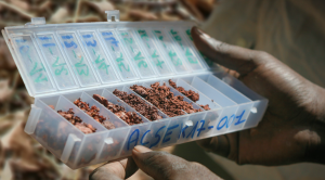 Sarama sells gold property in Mali for $A1m