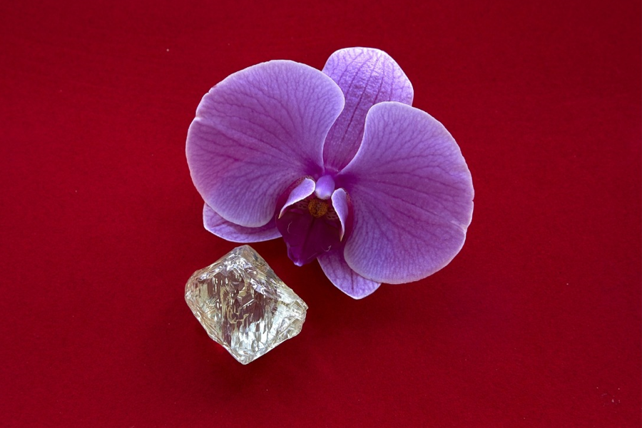 Alrosa Finds 236 Carat Colored Diamond, Its Largest Ever – JCK