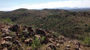 Argonaut Gold to hedge gold from El Castillo