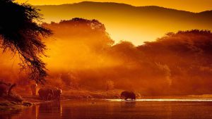 Zambia scraps plans to build giant copper mine in national park