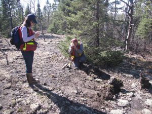 HighGold adds to Timmins-area land package