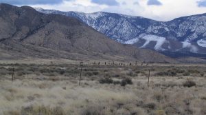 Fremont to acquire past-producing Griffon gold project