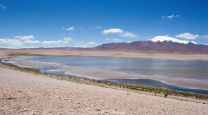 Wealth Minerals and Rosatom sign MOU