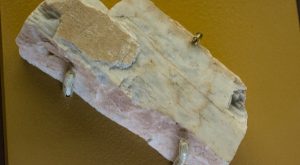 Spearmint to revive Nevada lithium prospect