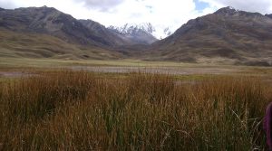 Rio Silver, Peruvian Metals to explore Au-Ag-Cu project in Peru