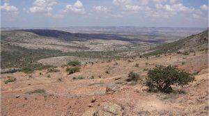 Plata Latina options three Mexican properties