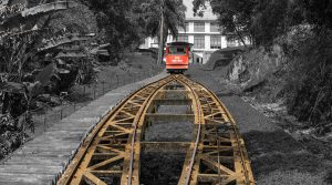 With Gold Surging, Miners Face Payouts Versus Production Dilemma