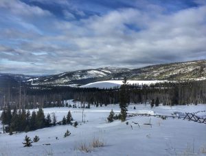 Revival Gold announces 'substantial' resource increase at Beartrack-Arnett