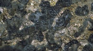 Max transfers rights in PGE project to new Colombian subsidiary