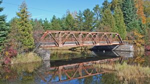 Bitterroot, Below to join forces at nickel-copper-PGM project in Michigan