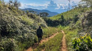 Amid COVID-19 fears, Aurania removes workers from Ecuadorian gold project