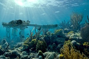 Experts call for plan to protect deep-sea life from mining