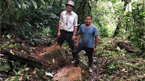Aurania finds road that may have connected ancient mining towns in Ecuador